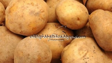 Photo of البطاطا او البطاطس أنواعها, فوائدها ومحاذير في استخدام البعض منها
